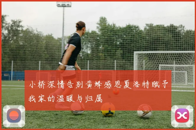小桥深情告别黄蜂感恩夏洛特赋予我家的温暖与归属