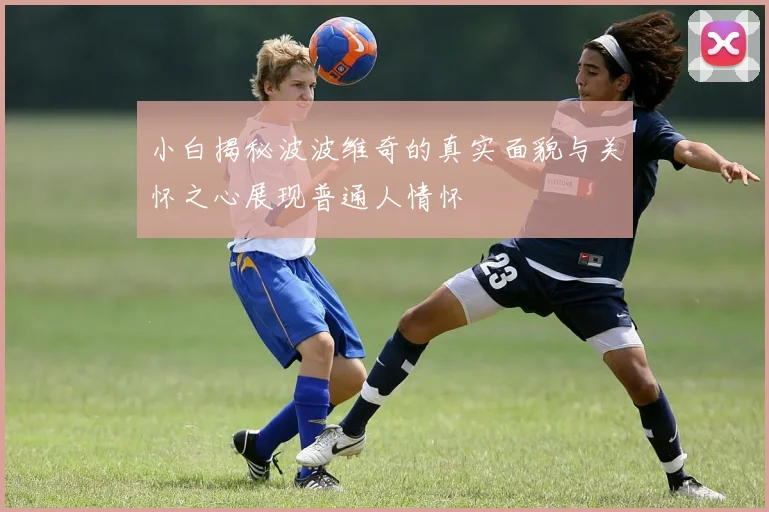 小白揭秘波波维奇的真实面貌与关怀之心展现普通人情怀